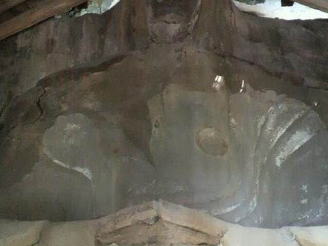 �唗���R���̎ʐ^1