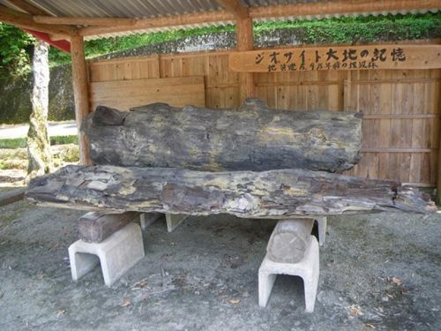 �����̖��v�؂̎ʐ^1