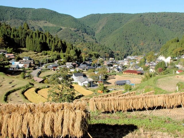 �����I�c�̎ʐ^1