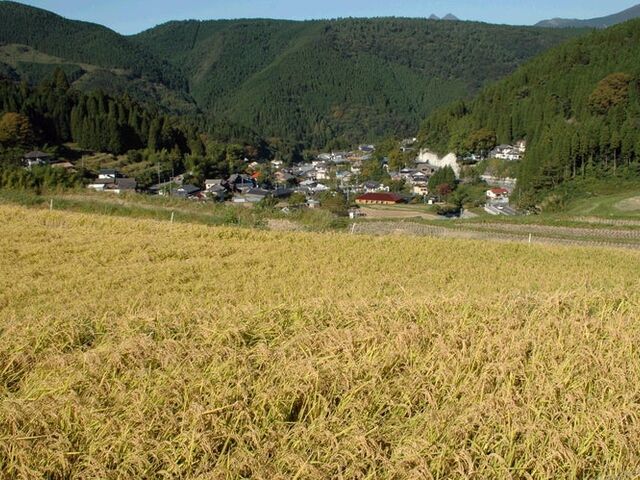 �����I�c