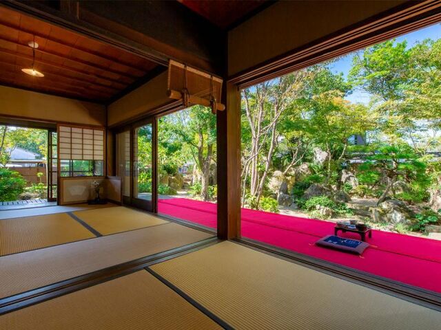 �\�� �������E���[���񂪂���̎ʐ^1