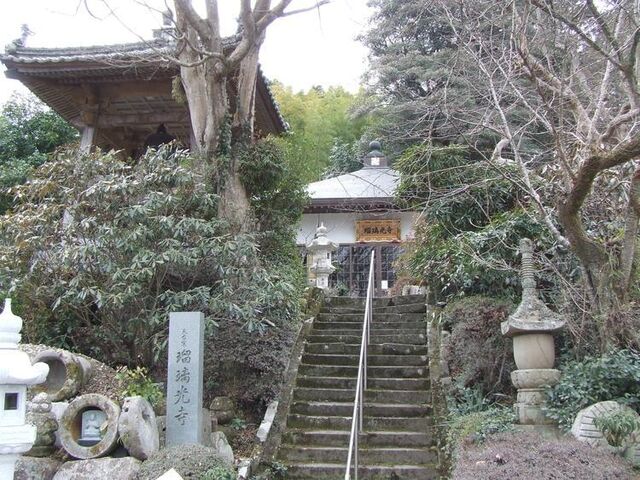 �ڗ������̎ʐ^1