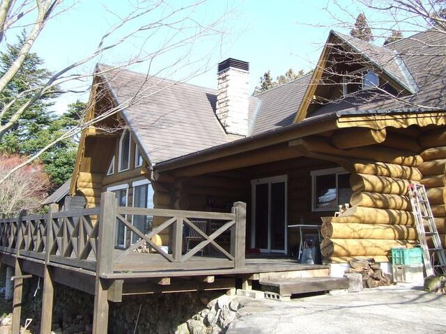 �M�������[���̗��@�؂̎ʐ^1