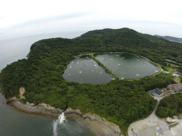 ���������P���W�I�p�[�N�̎ʐ^1