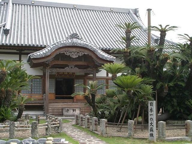 �������̎ʐ^1