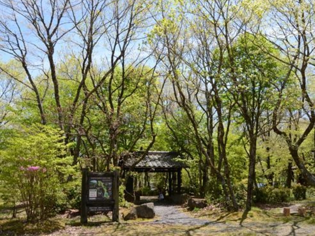 ��d�ӂ邳�Ǝ��R�w�Z�̎ʐ^1