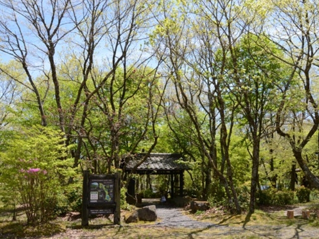 ��d�ӂ邳�Ǝ��R�w�Z�̎ʐ^1