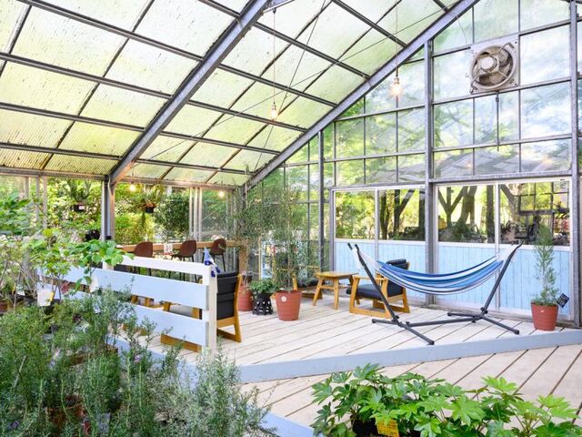 �����イ��̉Ԃ̋�