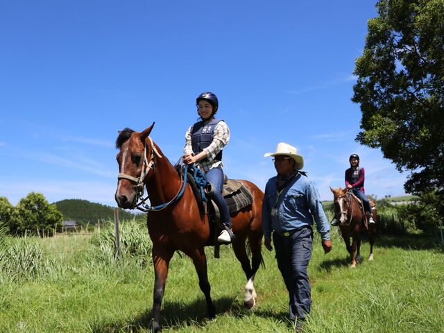 �G���E�����`���E�O�����f