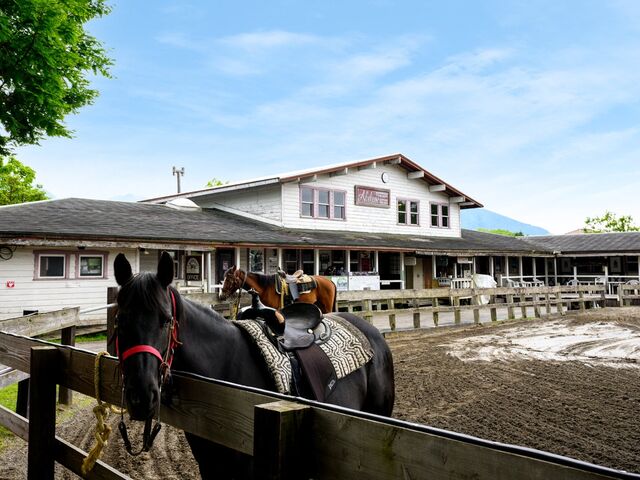 �G���E�����`���E�O�����f