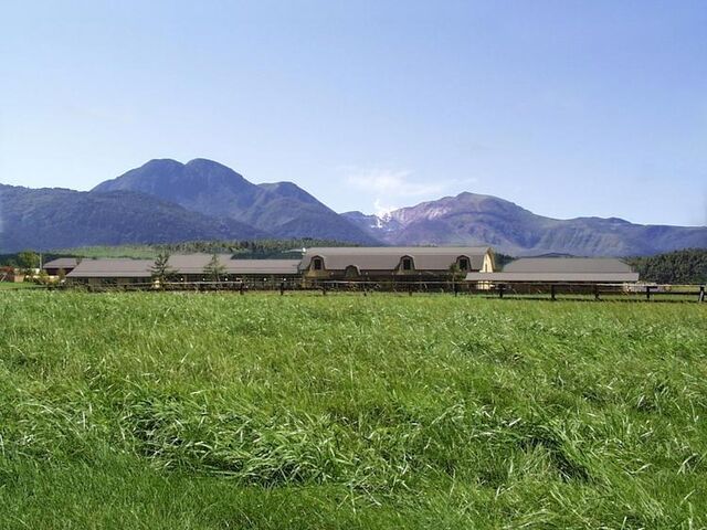 ��d��܂Ȃݖq��̎ʐ^1