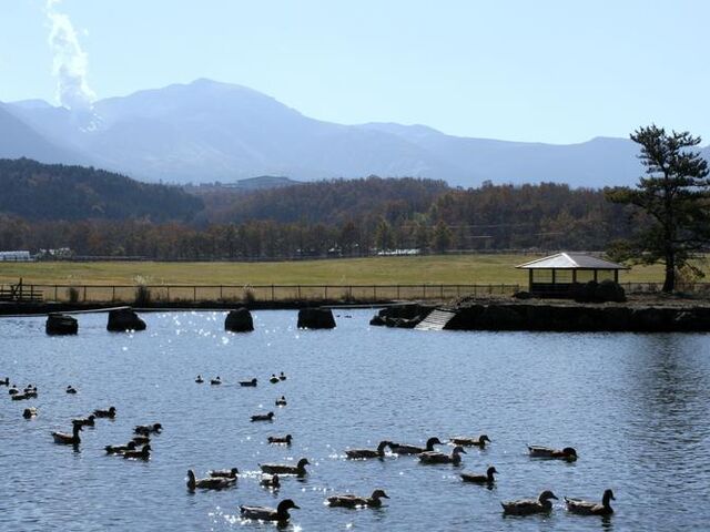 ��d��܂Ȃݖq��