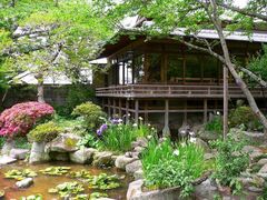 �H�����̎ʐ^1