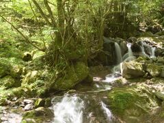 ��O�x�N���̎ʐ^1