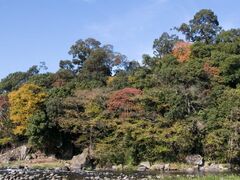 亀山公園の写真1