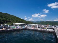 �ނ����ቤ�̎ʐ^