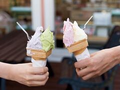 ���َq�̂��߂��̎ʐ^1