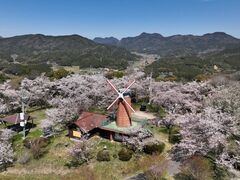 �b���R�����̎ʐ^1