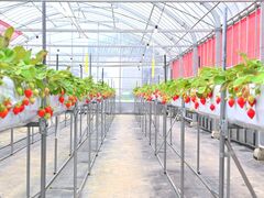 �Z�g�l���]�[�g�p�[�N �l���������̎ʐ^1