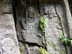 ��{���R���̎ʐ^1