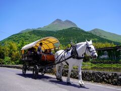 �ό��Ҕn�Ԃ̎ʐ^1