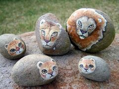 �΂��낽���̓������̎ʐ^1