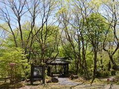 ��d�ӂ邳�Ǝ��R�w�Z�̎ʐ^