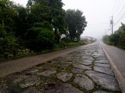 �Q�Ό�㓹�H ���s�Ώ����̎ʐ^2