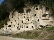 ����S�������Õ��Q�̎ʐ^2