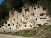 ����S�������Õ��Q�̎ʐ^2