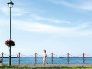 ���񂽂�`���̎ʐ^1