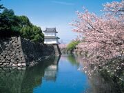 �啪�隬�����E�{����Ղ̎ʐ^1