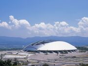 �啪�X�|�[�c�����i�N���T�X�h�[���啪�j�̎ʐ^2