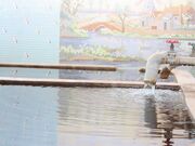 ���q����̎ʐ^2