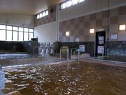 ����A�T�q����̎ʐ^2