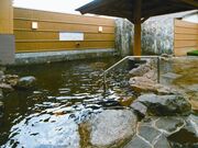 ����A�T�q����̎ʐ^3