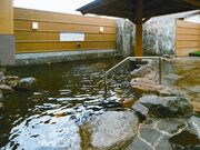 ����A�T�q����̎ʐ^3