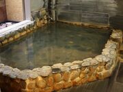 �����������򕨌�@�O��̓��̎ʐ^3