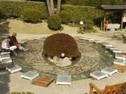 �S�ΖV��n���̎ʐ^2