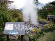 �S�ΖV��n���̎ʐ^3