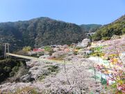 ���N�e���`�̎ʐ^3