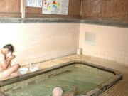 �s�c �i�Ή���̎ʐ^2