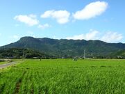 ���ʎR�̎ʐ^3