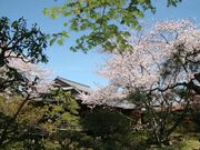 �H�����̎ʐ^2