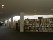 ���Îs�������L�O�}���ق̎ʐ^3