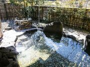 �Ƃ��T���̎ʐ^2