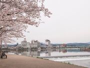 �O�G��̎ʐ^2