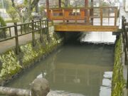 ���j�̏��a�̎ʐ^3