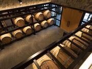 �~�𑠂�����܂̎ʐ^4