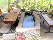 ���c�s�V���� �o���̓��̎ʐ^3